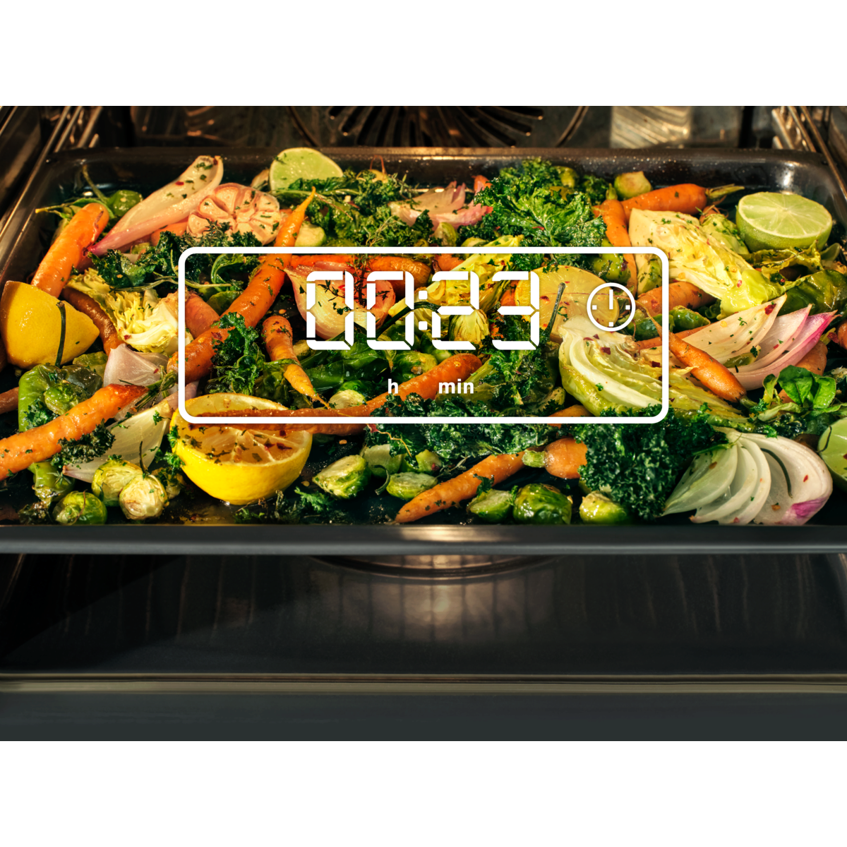Electrolux - Electric Oven - KOFGH40TK